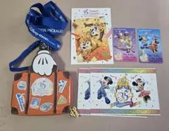 東京ディズニーリゾート 35周年記念パスケース　ポストカード　乗車券デザイン台紙