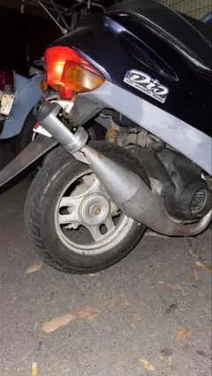 2025年最新】カメレオンファクトリーの人気アイテム - メルカリ