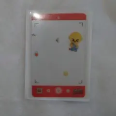 スキズ skzoo pop up 1万円特典 ポガリ