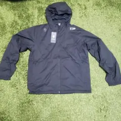 Item thumbnail for item 5ce899cf-07de-4f89-aa30-8630fe17cf1a