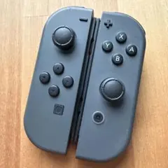 Switch ジョイコン グレー×グレー ニンテンドー