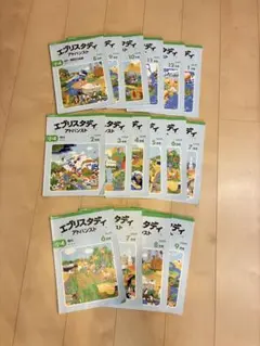 Z会 エブリスタディ アドバンスト 小4 理科 - メルカリ