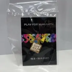 【希少・非売品】EXPO 2027 セルビア　万博　ピンバッジ 非売品】 EXPO 2027 セルビア万博 ベオグラード ピンバッジ 万博