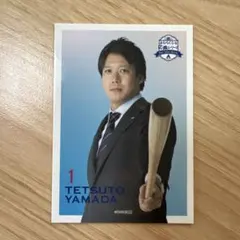 2026年最新】山田哲人 バットの人気アイテム - メルカリ