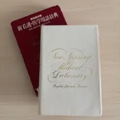 Item thumbnail for item 4f3a11a8-765b-48b9-9b88-b4e3eb4a1e67