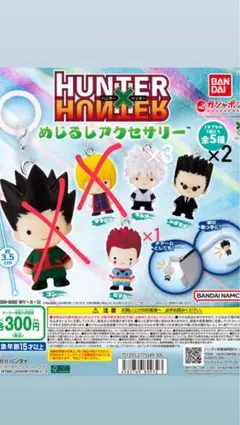 HUNTER × HUNTERめじるしアクセサリー