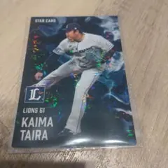 プロ野球チップス カード