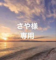 さや様専用ページ