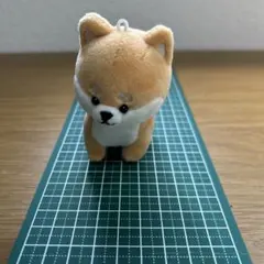 Item thumbnail for item 36a7df0b-b0e9-4b36-a151-f9c425bb4945