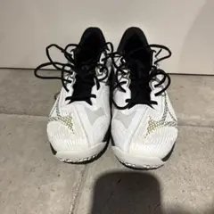 Mizuno Wave Exceed Light2 テニスシューズ
