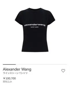 ALEXANDER WANG Tシャツのサムネイル