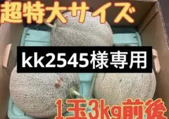 タマ様専用】夕張メロン個選品3玉 超特大1玉3kg前後常温 - メルカリ