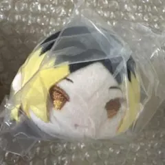 2025年最新】孤爪研磨 もちマスの人気アイテム - メルカリ