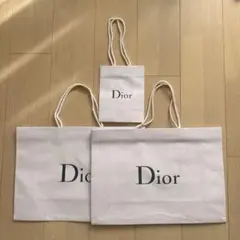 Dior ディオール ショッパー 3点セット 折らずに発送 大2枚・小1枚 紙袋