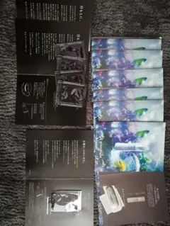 POLA B.A　サンプル