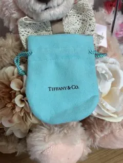 Tiffany & Co. ターコイズポーチ