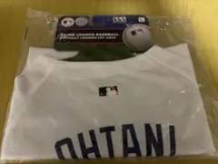 Item thumbnail for item 47521bd0-6af7-4d4f-a291-1ab406d1c900