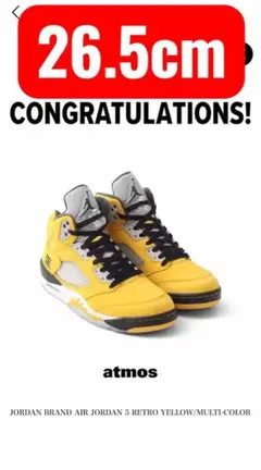 Nike Air Jordan 5 Retro 