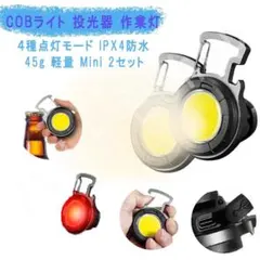 Item thumbnail for item e17c1b7e-9d3d-4a58-8e25-042965e3d1ae