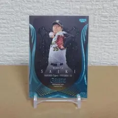 Item thumbnail for item 8f62a2c0-9492-4bc1-95b1-34d535018802