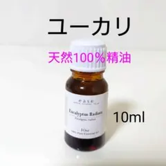 新品⭐天然100％ユーカリ精油【10ml】リフレッシュ・ウイルス・ニオイ対策にも