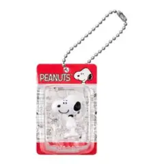 PEANUTS スヌーピー パッケージミニチュアフィギュア