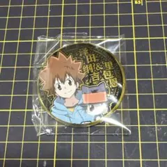 海外公式品　家庭教師ヒットマンREBORN! 缶バッジ 沢田綱吉