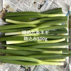 生牧草農薬不使用！オーツヘイ✨ネコポス箱込み500g以上　小動物おやつ⑤うさぎ 生牧草農薬不使用！オーツヘイ✨ネコポス箱込み500g以上 小動物おやつ
