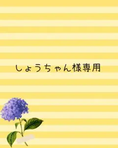 レッスンバッグ　シューズ入れ　ユニコーン柄　キルティング　通園バック