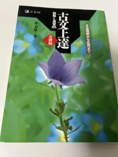 Item thumbnail for item bb357d30-5b2c-4194-a63e-ab4ad39fc550