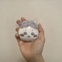 ハチワレ マスコットミラー