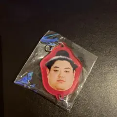 Item thumbnail for item 3873b53e-6f55-45d1-b706-da82182eaa5f