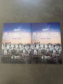 【最安値】 中日ドラゴンズ クリアファイル 2枚セット