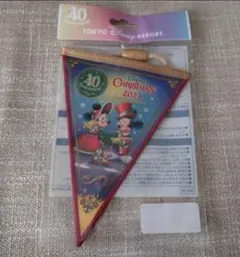 ディズニー40周年 ディズニークリスマス2023 ドリームガーラ