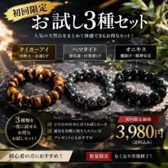 1セット限定販売 パワーブレス3種類セット　タイガーアイ&ヘマタイト&オニキス