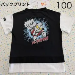 ちゃたろう様 リクエスト 2点 まとめ商品