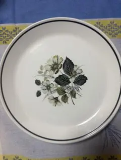 ジョンソンブラザーズ 平皿 プレート 植物デザイン 陶器皿 直径約22.5cm