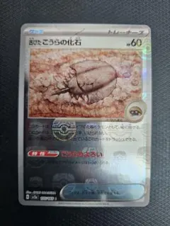 古びたこうらの化石 マスターボールミラー　マスボのサムネイル