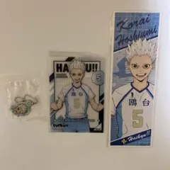 ハイキュー!! 星海光来3点セット