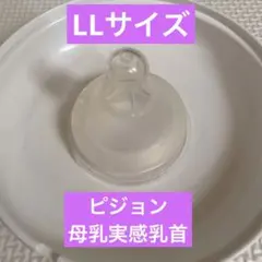 Item thumbnail for item e7091b16-af41-4dad-99e6-2a414b8ba43d