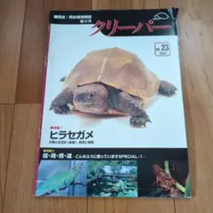 爬虫類・両生類情報誌 クリーパー No.23 2004年　２３号のサムネイル