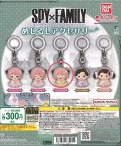 アーニャ めじるしアクセサリー