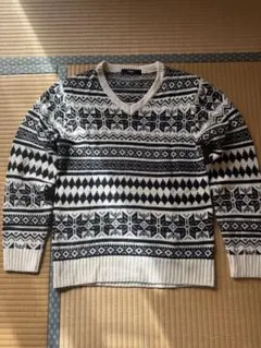 ⭐︎美品⭐︎AZUL VネックニットセーターMsize