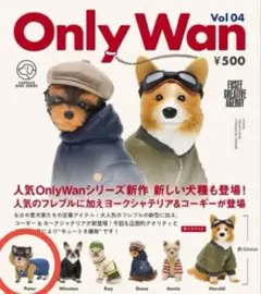 2025年最新】onlywanの人気アイテム - メルカリ