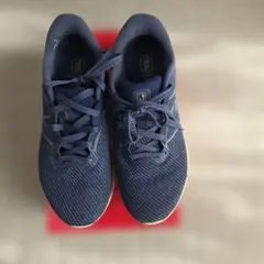 Item thumbnail for item c6b93320-eae5-4005-ae7c-d612f289c9d6