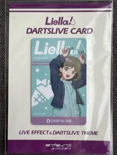ダーツカード 文山雪華プロ 非売品未使用 - メルカリ