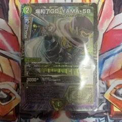ゴーヤマ　プロモ