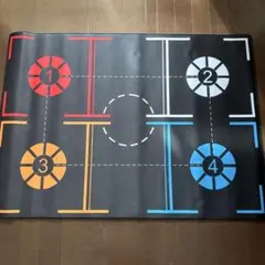 【美品】バスケットボール 練習用マット 収納バッグ付き
