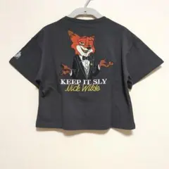 Item thumbnail for item 6af9e3ce-73f3-479f-902e-532541b5f294