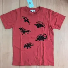 恐竜プリント Tシャツのサムネイル